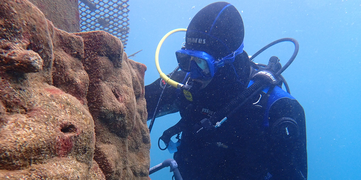 Ocean Ecostructures revitalizes biodiversity in degraded marine environments