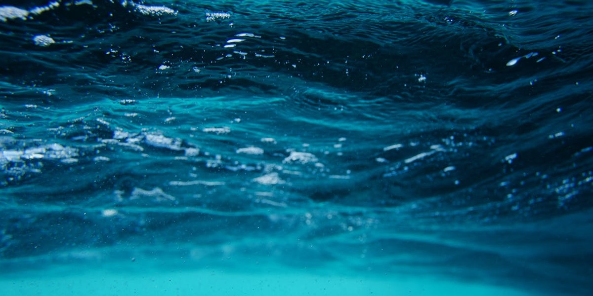 Why should we invest in the Blue Economy?